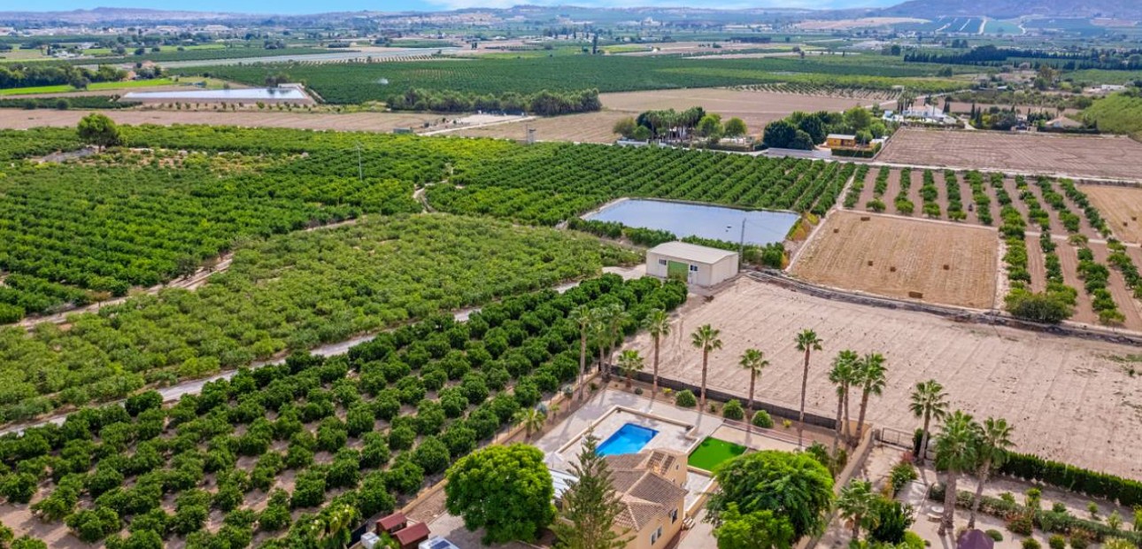 Venta - Finca / Country Property -
Rafal