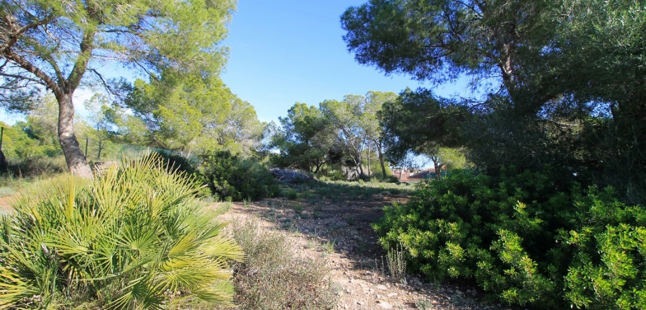 Venta - Detached Villa -
Mil Palmeras - Mil Palmeras - Town