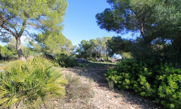 Venta - Detached Villa -
Mil Palmeras - Mil Palmeras - Town