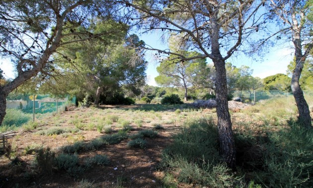 Venta - Detached Villa -
Mil Palmeras - Mil Palmeras - Town