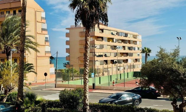 Venta - Apartamento / piso -
Torrevieja - Cabo cervera