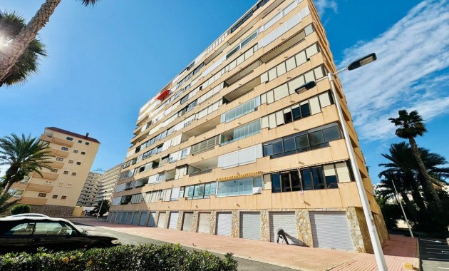 Venta - Apartamento / piso -
Torrevieja - Cabo cervera