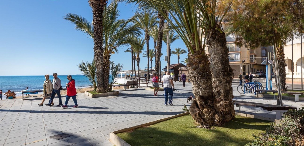 Venta - Terraced house -
Torrevieja - Estacion de autobuses