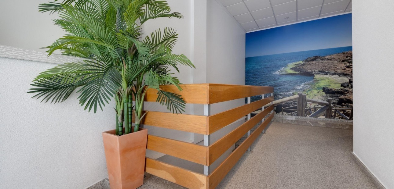 Herverkoop - Appartement / flat -
Torrevieja - torrevieja