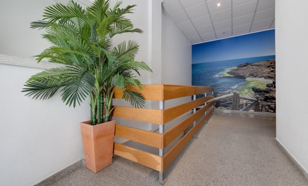 Herverkoop - Appartement / flat -
Torrevieja - torrevieja