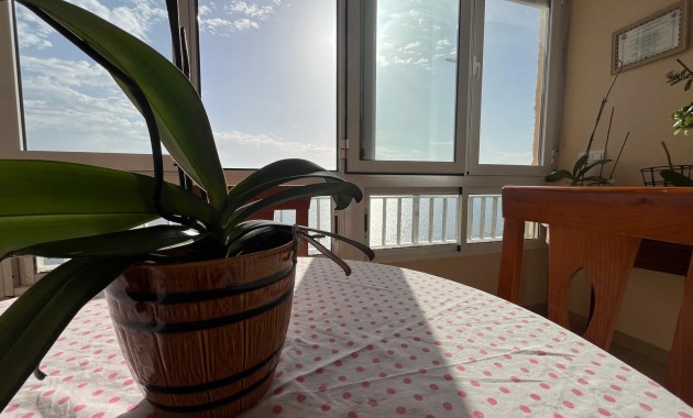 Sale - Apartment / flat -
Torrevieja - Playa del cura