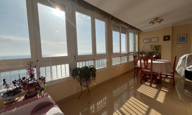 Herverkoop - Appartement / flat -
Torrevieja - Playa del cura