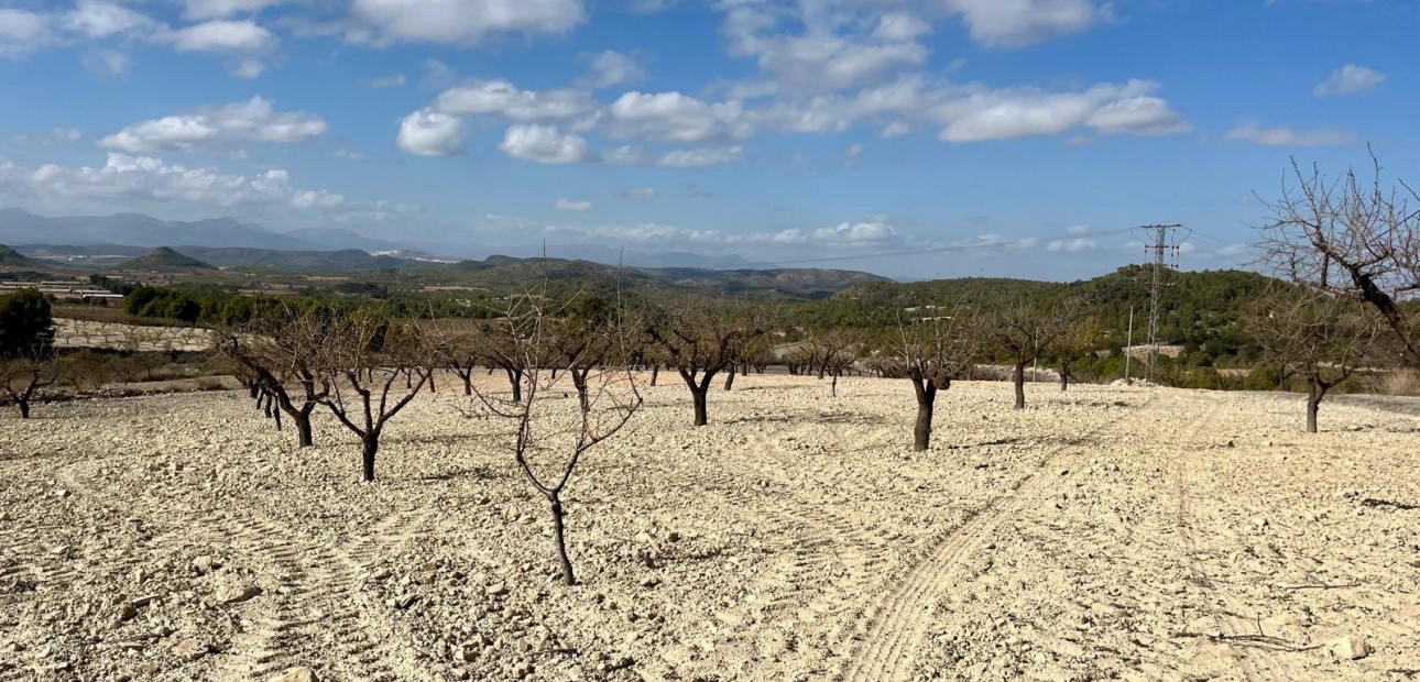 Herverkoop - Perceel / Grond -
Bullas - Costa Calida