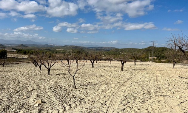 Herverkoop - Perceel / Grond -
Bullas - Costa Calida