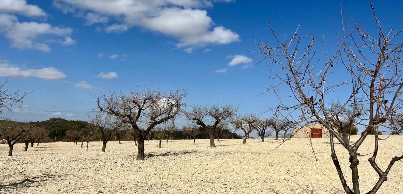 Herverkoop - Perceel / Grond -
Bullas - Costa Calida