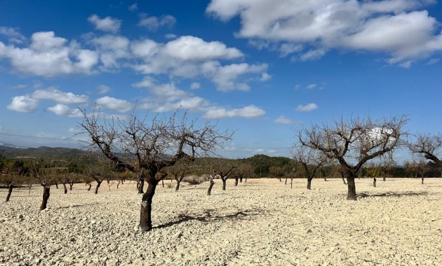 Herverkoop - Perceel / Grond -
Bullas - Costa Calida