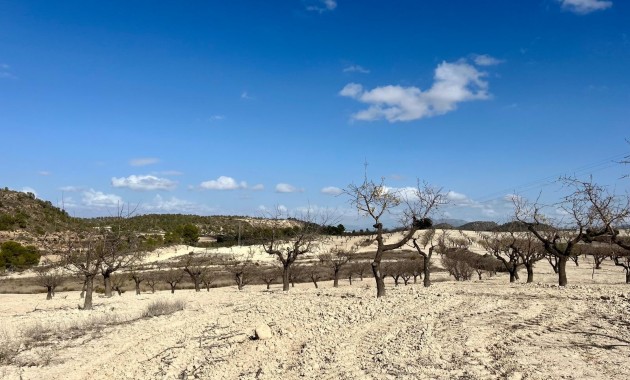 Herverkoop - Perceel / Grond -
Bullas - Costa Calida