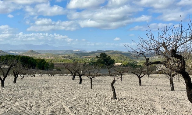 Herverkoop - Perceel / Grond -
Bullas - Costa Calida