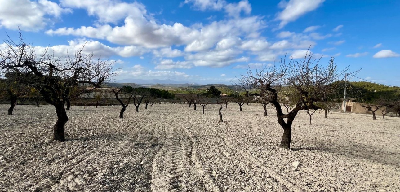 Herverkoop - Perceel / Grond -
Bullas - Costa Calida