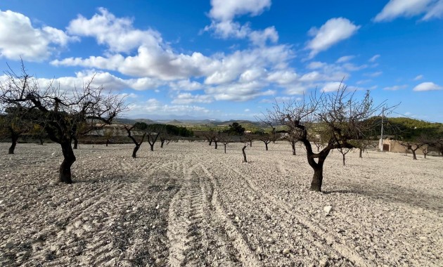 Herverkoop - Perceel / Grond -
Bullas - Costa Calida