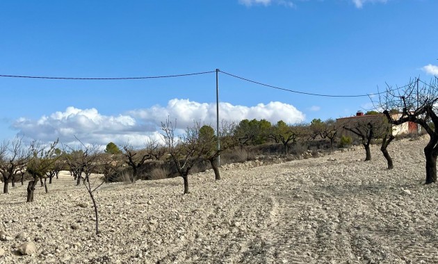 Herverkoop - Perceel / Grond -
Bullas - Costa Calida