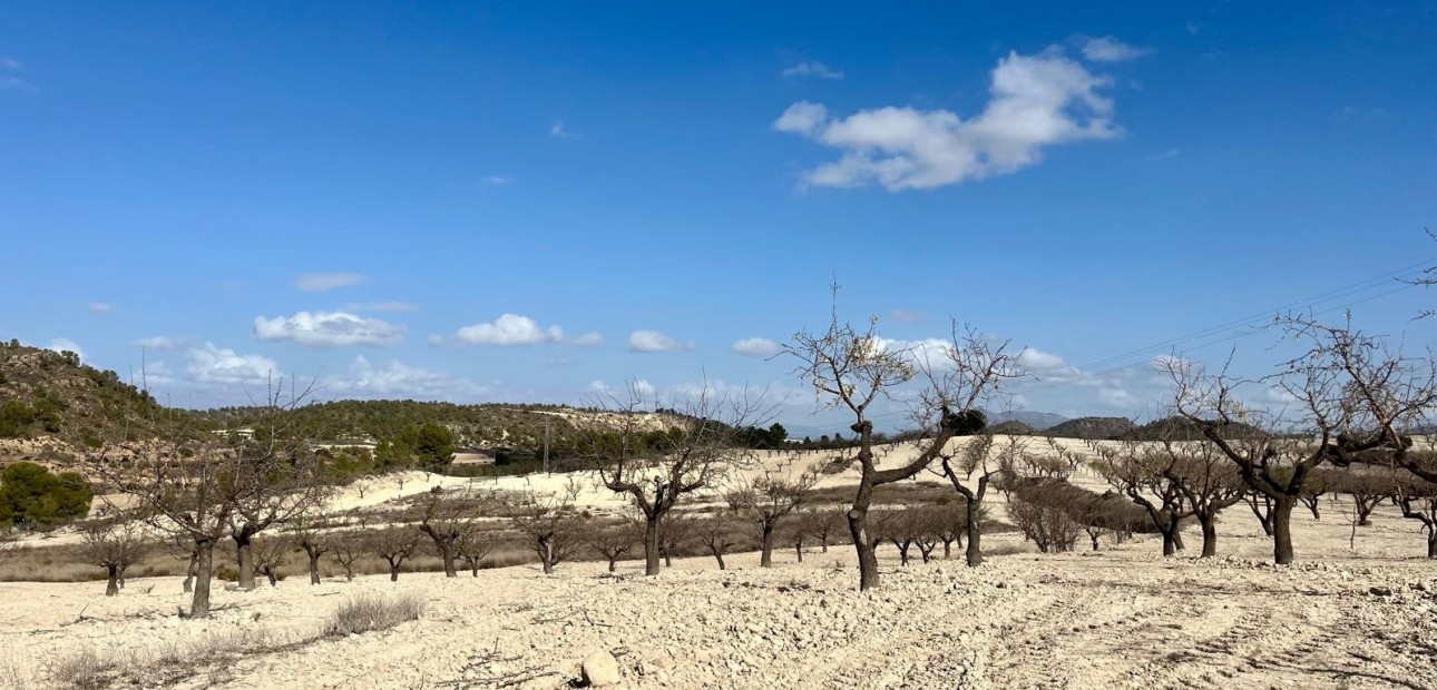 Herverkoop - Perceel / Grond -
Bullas - Costa Calida