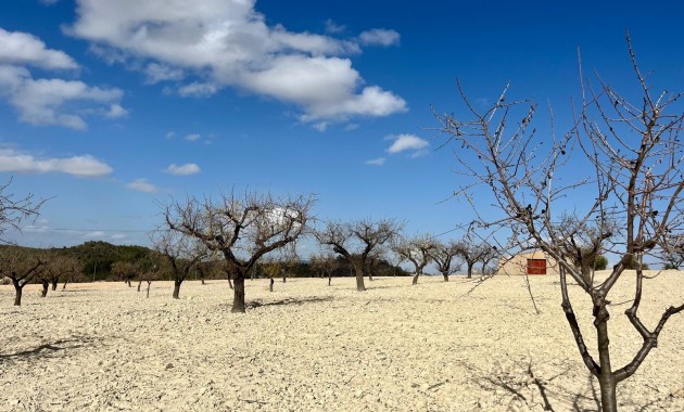 Herverkoop - Perceel / Grond -
Bullas - Costa Calida