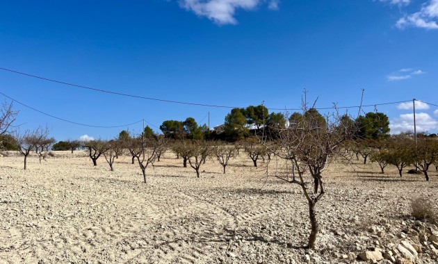 Herverkoop - Perceel / Grond -
Bullas - Costa Calida