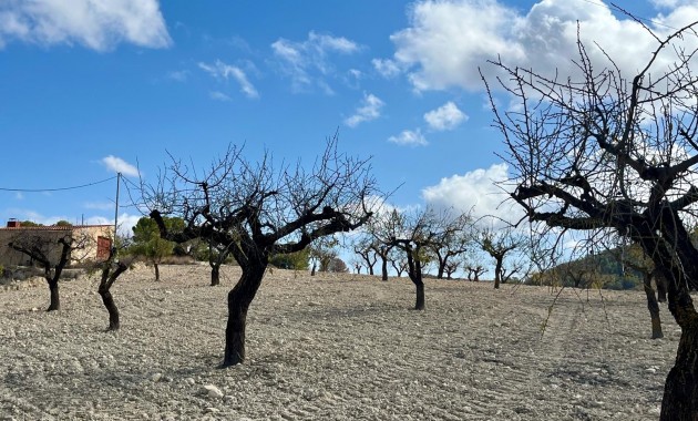 Herverkoop - Perceel / Grond -
Bullas - Costa Calida