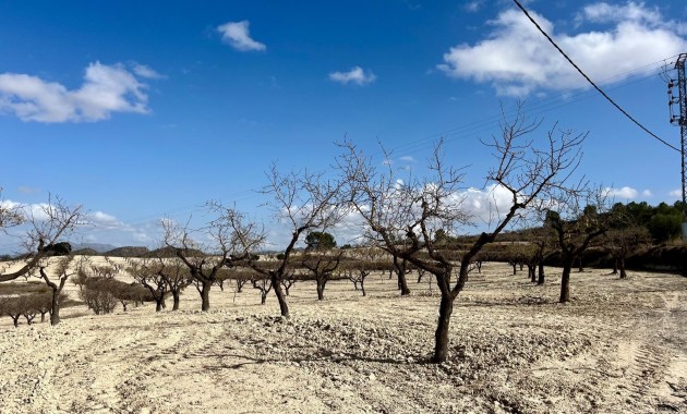 Herverkoop - Perceel / Grond -
Bullas - Costa Calida