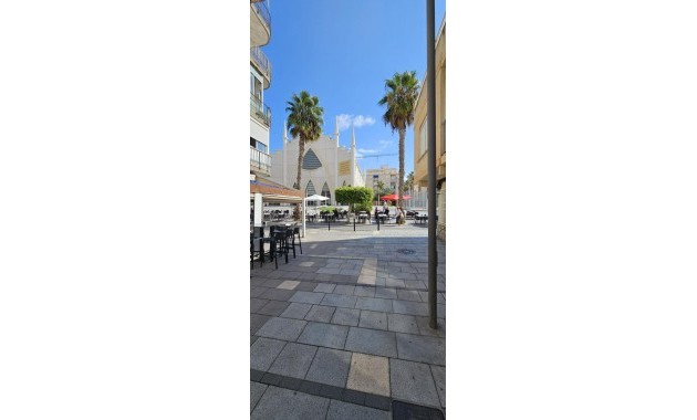 Herverkoop - Appartement / flat -
Torrevieja - Paseo maritimo