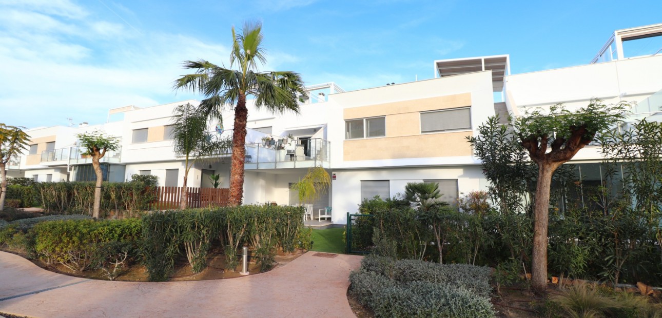 Venta - Apartamento / piso -
Los Montesinos - Entre Naranjos / Vistabella Golf