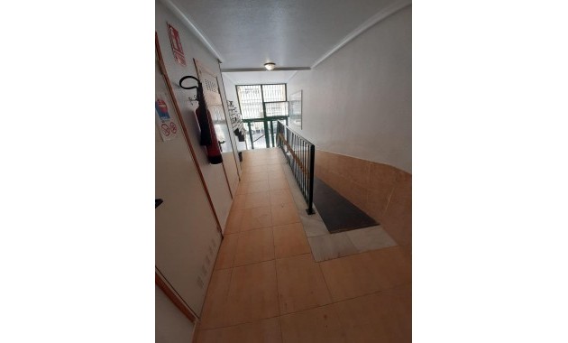 Venta - Apartamento / piso -
Torrevieja - Playa de los locos