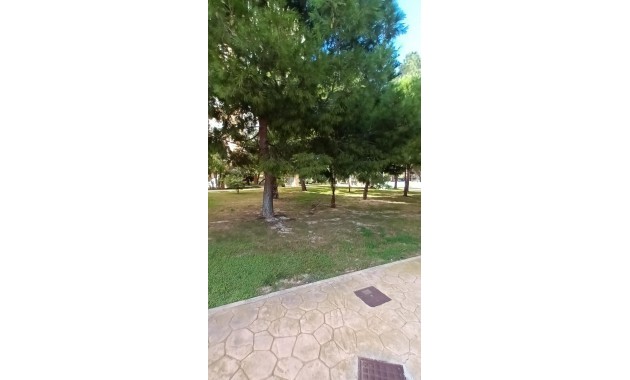 Venta - Apartamento / piso -
Orihuela Costa - Campoamor