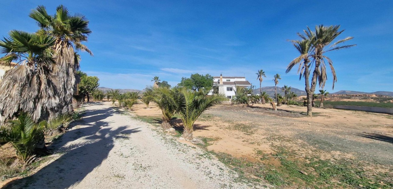 Herverkoop - Villa -
Cieza