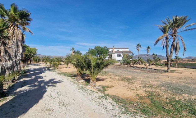 Herverkoop - Villa -
Cieza