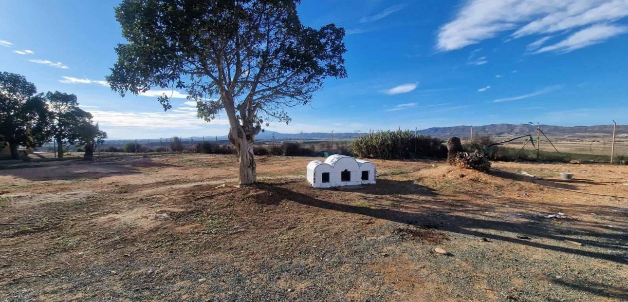 Herverkoop - Villa -
Cieza