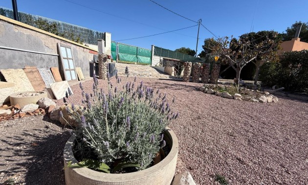 Venta - Country House -
Crevillent - Comunidad valenciana