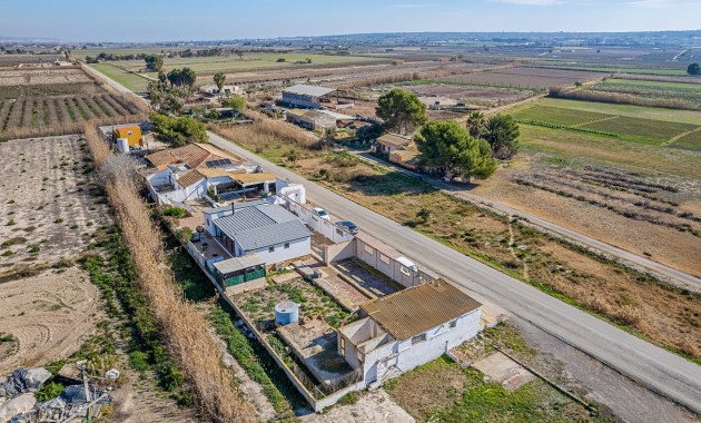 Venta - Country Property/Finca -
Elche Pedanías - Daimés