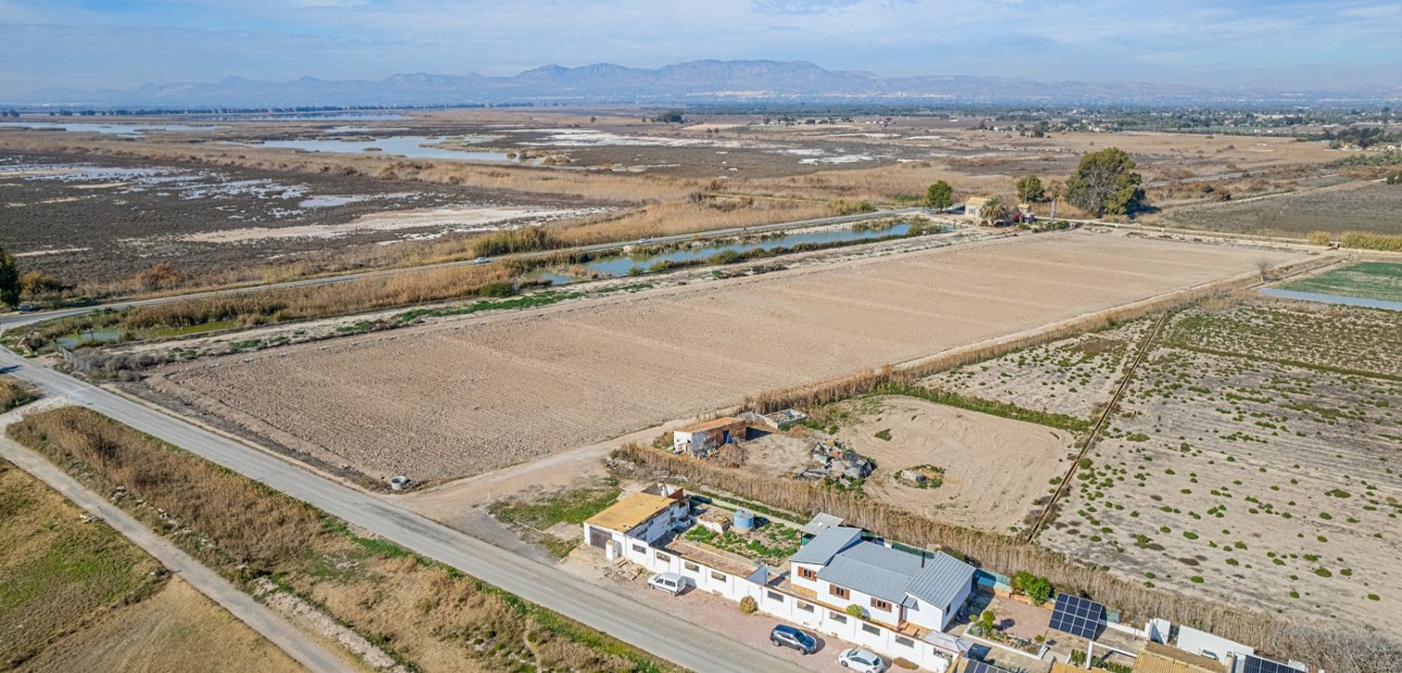 Venta - Country Property/Finca -
Elche Pedanías - Daimés