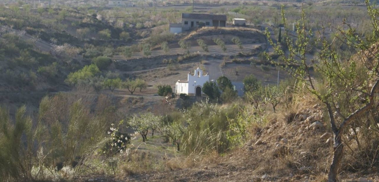 Sale - Plot / Land -
Murcia