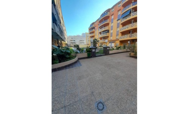 Venta - Apartamento / piso -
Torrevieja - Centro