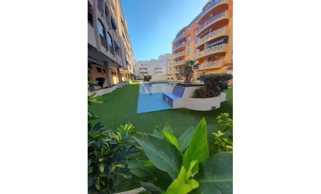 Venta - Apartamento / piso -
Torrevieja - Centro