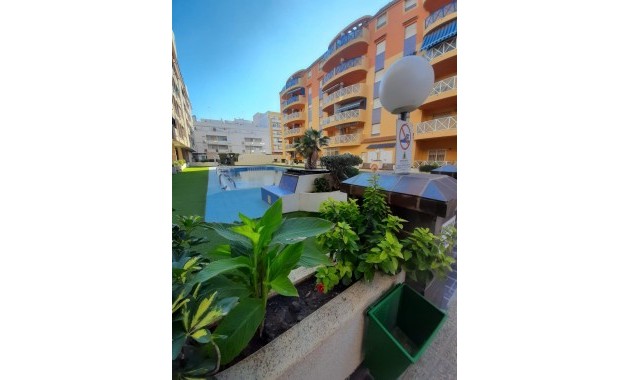 Venta - Apartamento / piso -
Torrevieja - Centro