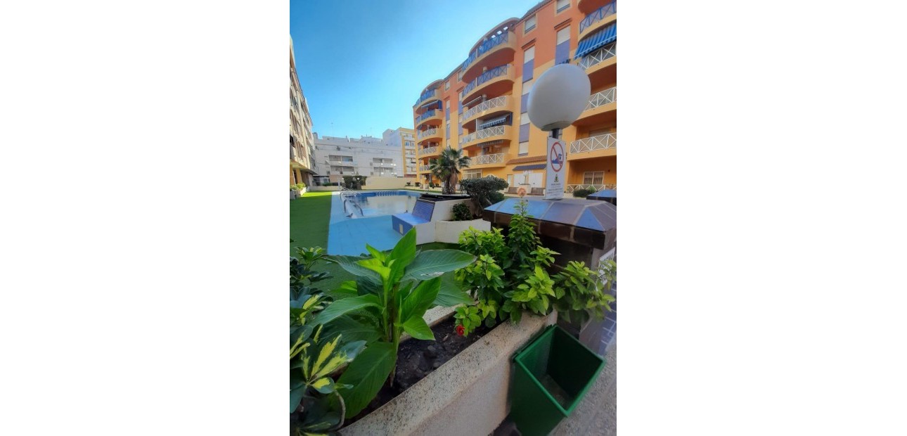 Venta - Apartamento / piso -
Torrevieja - Centro