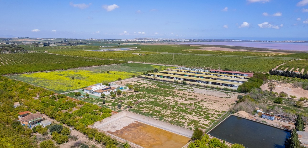 Sale - Villa -
Los Montesinos