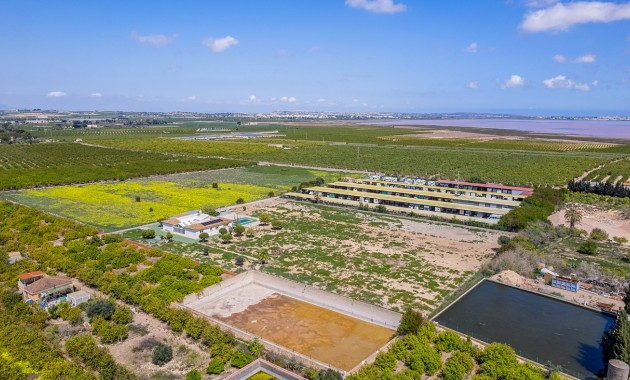 Sale - Villa -
Los Montesinos