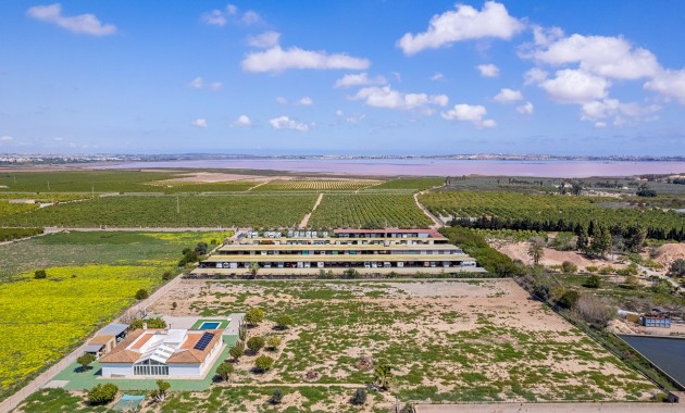 Sale - Villa -
Los Montesinos