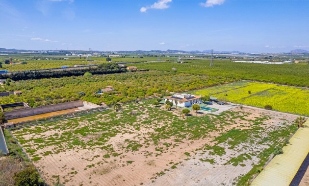 Sale - Villa -
Los Montesinos