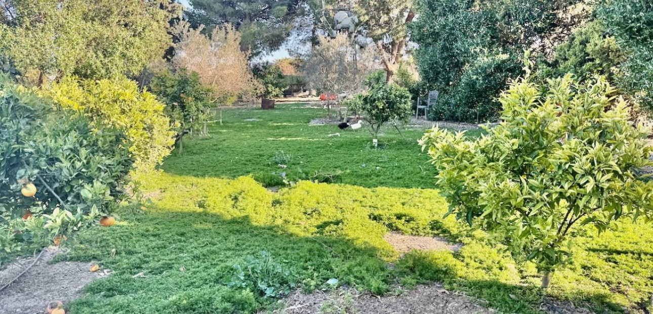 Herverkoop - Villa -
Guardamar del Segura