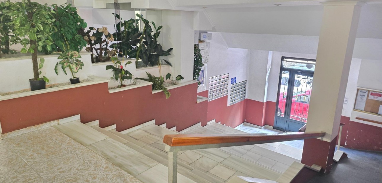 Venta - Studio -
Torrevieja - torrevieja