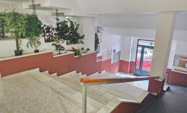 Venta - Studio -
Torrevieja - torrevieja