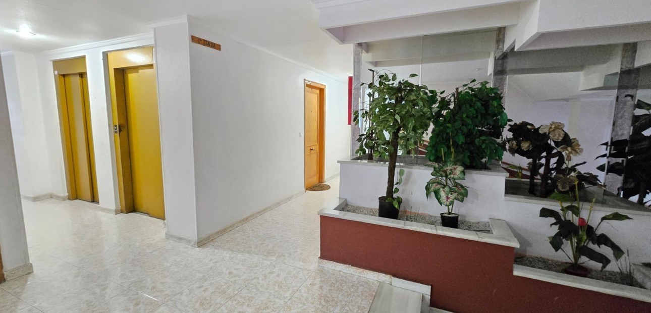 Venta - Studio -
Torrevieja - torrevieja