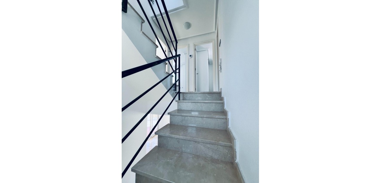 Venta - House -
Guardamar del Segura - EL RASO