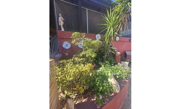 Venta - Villa -
Dolores - Comunidad valenciana